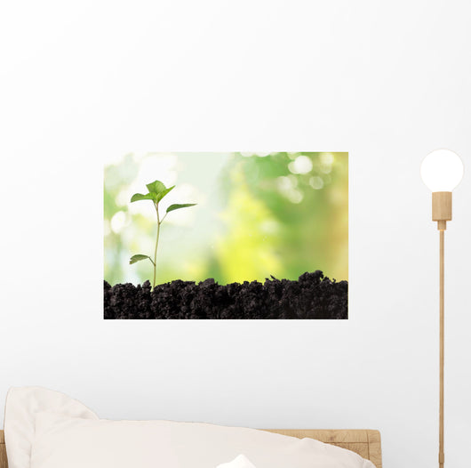 Seedling Newborn Oak Tree Wall Decal