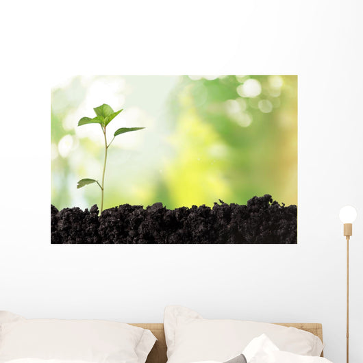 Seedling Newborn Oak Tree Wall Decal
