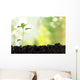 Seedling Newborn Oak Tree Wall Decal