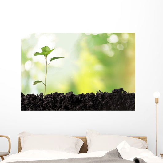 Seedling Newborn Oak Tree Wall Decal