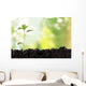 Seedling Newborn Oak Tree Wall Decal