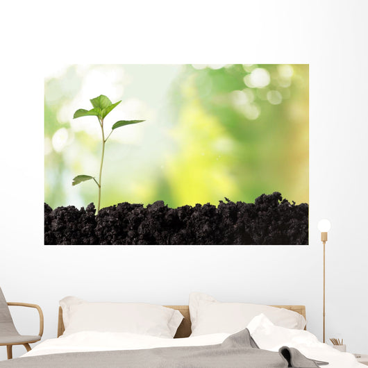 Seedling Newborn Oak Tree Wall Decal