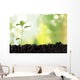 Seedling Newborn Oak Tree Wall Decal