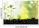 Seedling Newborn Oak Tree Wall Decal