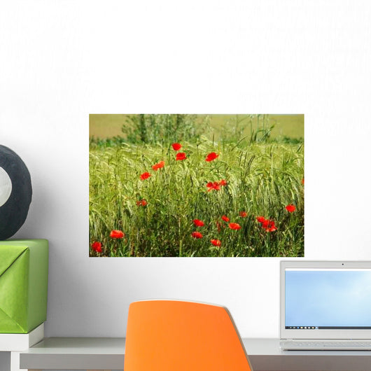 Poppies Field Wheat Wall Decal