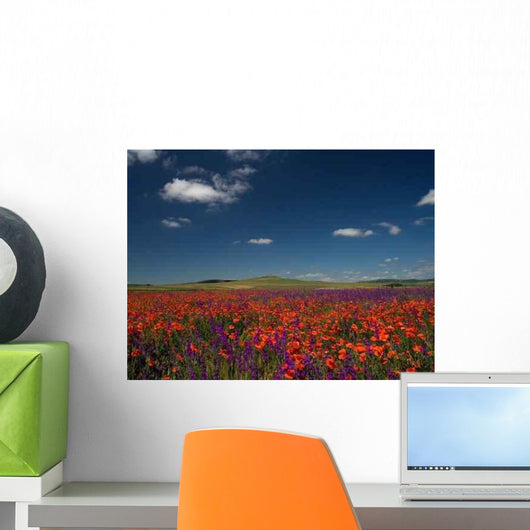 Field Wall Decal