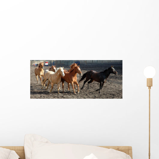 herd of horses Wall Mural
