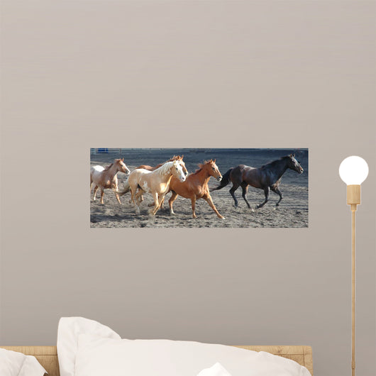 Herd of Horses Wall Mural