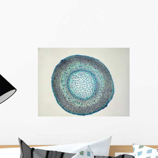 Fern Root Cs Hp Wall Decal
