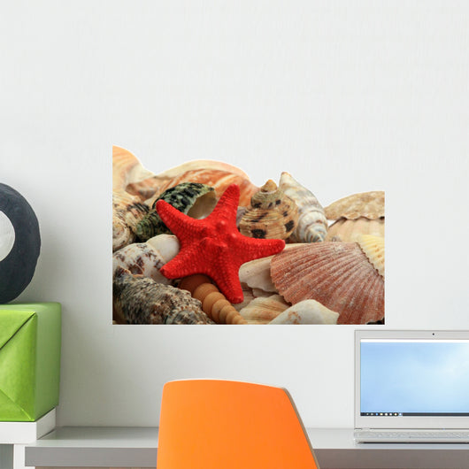 Sea Shells Wall Decal