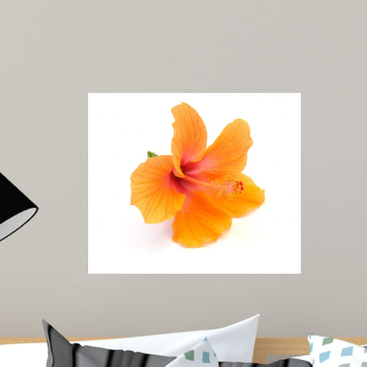 Hibiscus White Wall Decal