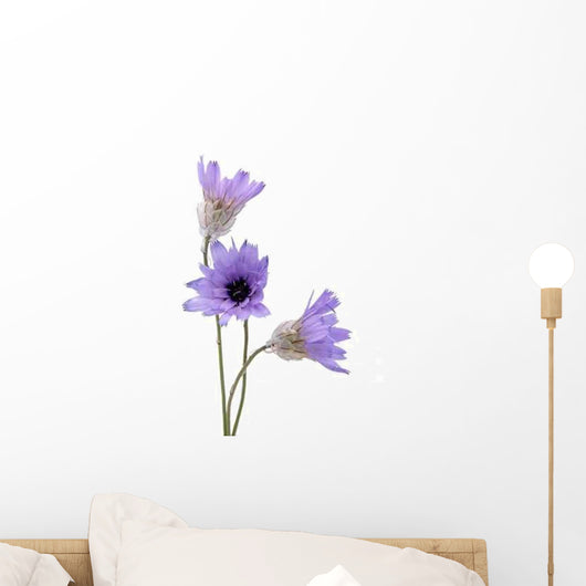 Xeranthemum Wall Decal