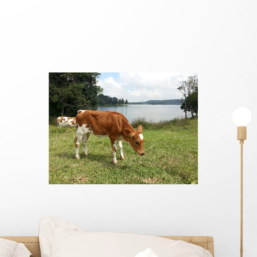 Vaca Wall Decal