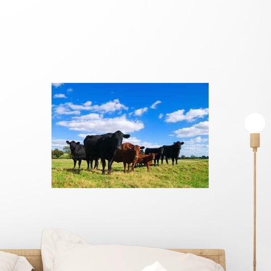 Cow Group Wall Decal