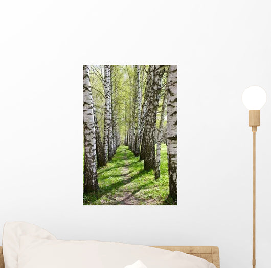 Birch-tree Alley Wall Decal