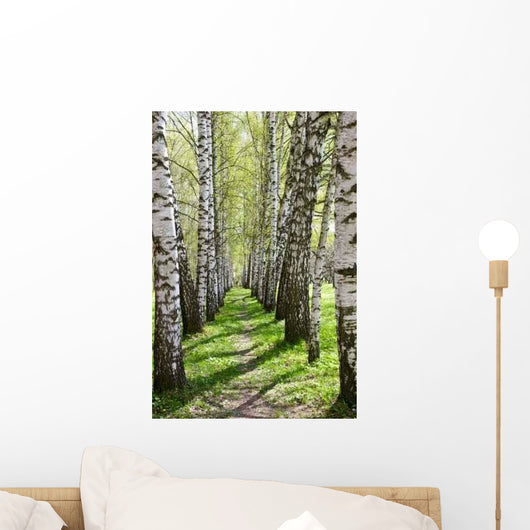 Birch-tree Alley Wall Decal