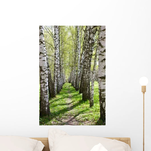Birch-tree Alley Wall Decal