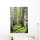 Birch-tree Alley Wall Decal