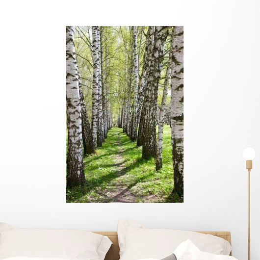 Birch-tree Alley Wall Decal