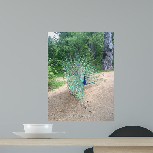 Wowpfau Wall Decal