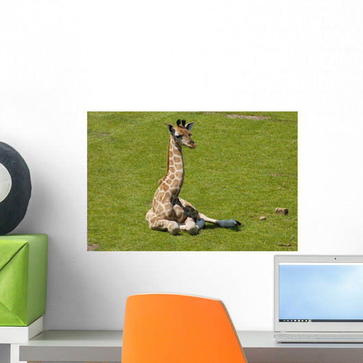 Giraffe Baby Wall Decal