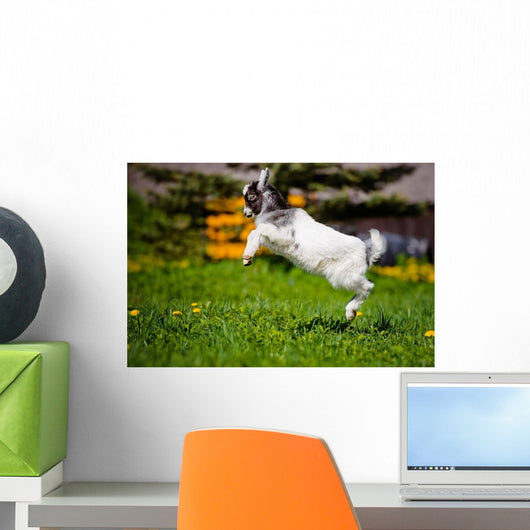 Adorable Goat Kid Jumping Wall Decal