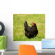 hen Wall Mural
