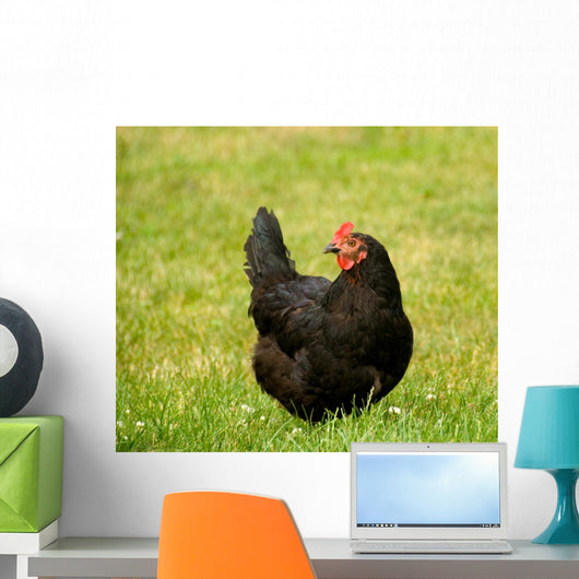 hen Wall Mural