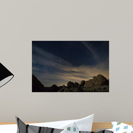 Landscape Joshua Tree National Wall Decal