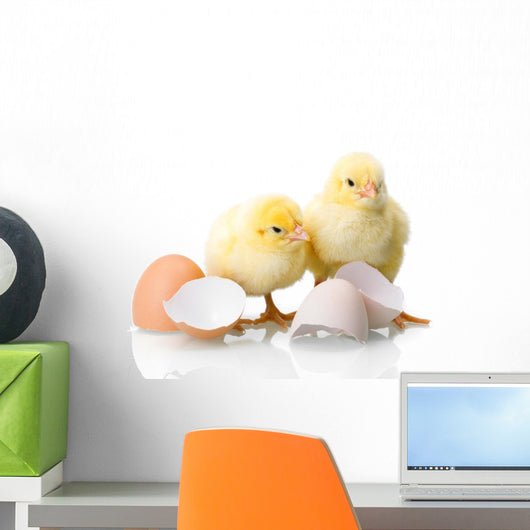 Newborn Chickens with Eggs Wall Decal