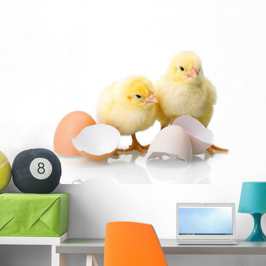 Newborn Chickens with Eggs Wall Decal