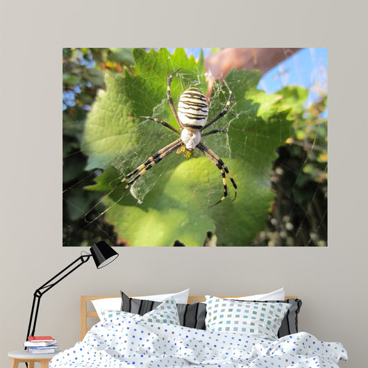 Spider Wall Decal