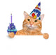 Birthday Cat Wall Decal