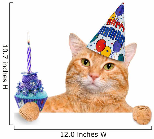 Birthday Cat Wall Decal