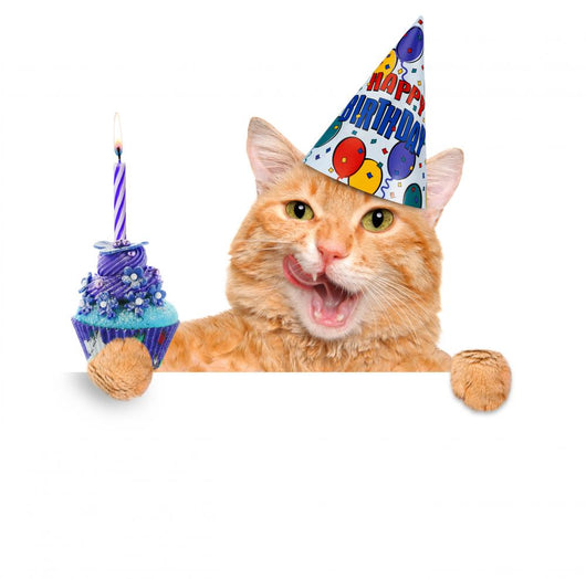 Birthday Cat Wall Decal