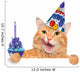 Birthday Cat Wall Decal