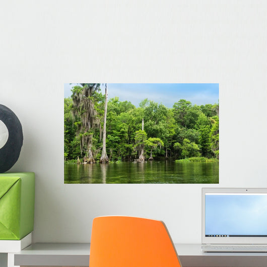 Wakulla Springs State Park Wall Decal