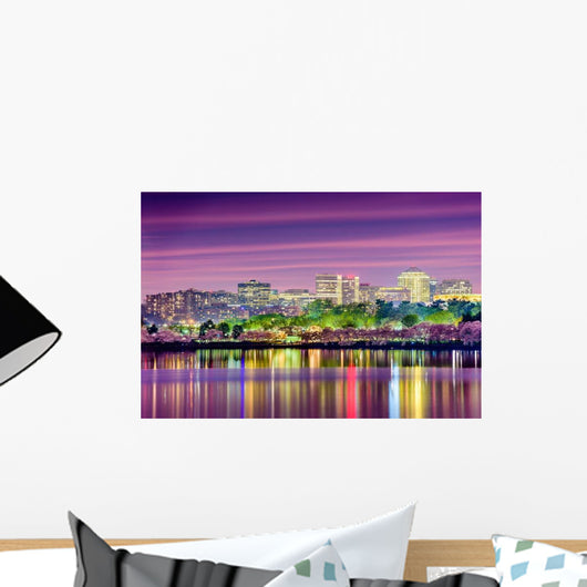 Washington Dc Skyline Wall Decal
