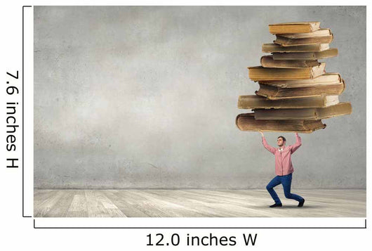 I Have to Study Wall Decal