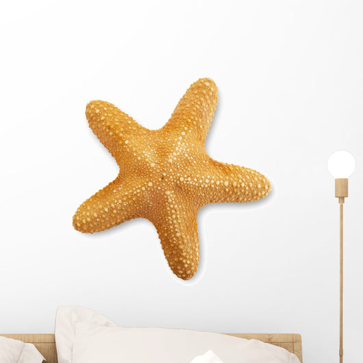 Starfish Wall Decal