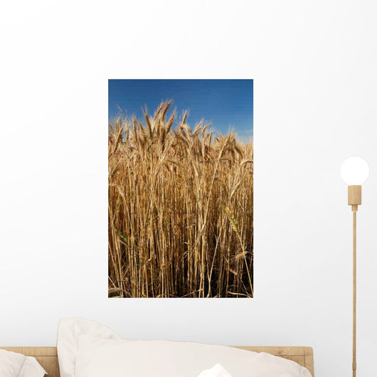 Detail Field Cereal Wall Decal