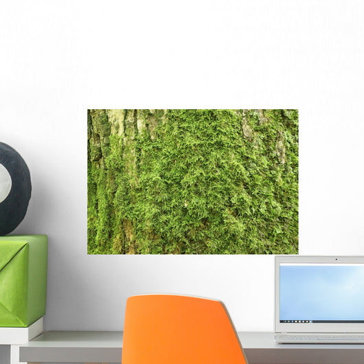 Oak Bark with Green Wall Decal