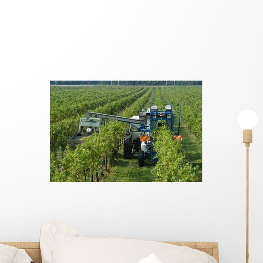 Harvest Automated Friuli Wall Decal