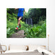 Up Trail Runner with Wall Decal
