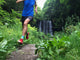 Up Trail Runner with Wall Decal