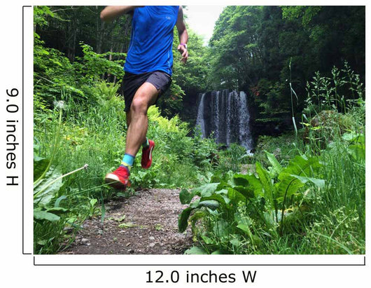 Up Trail Runner with Wall Decal