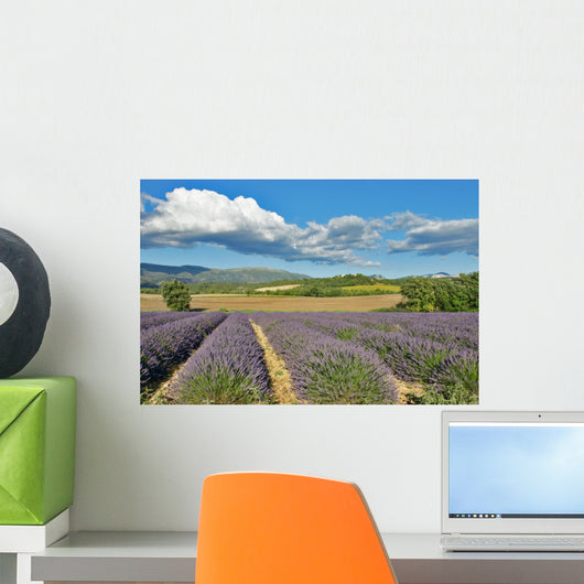Provence Wall Decal