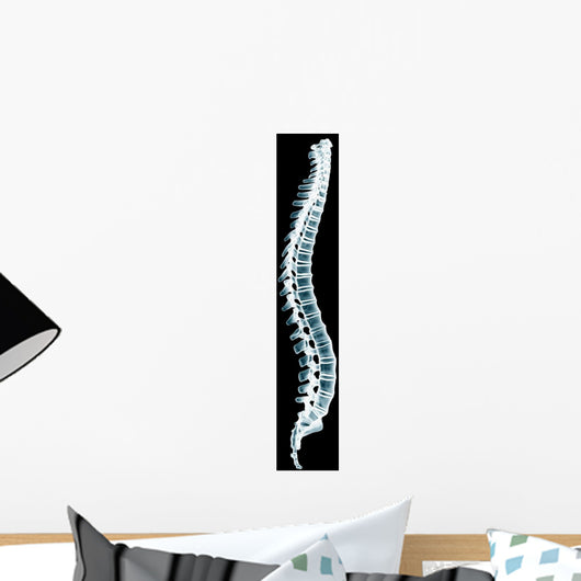 Human Spine Black Xray Wall Decal