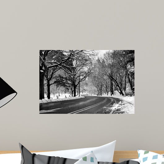 Road Central Park Wall Decal