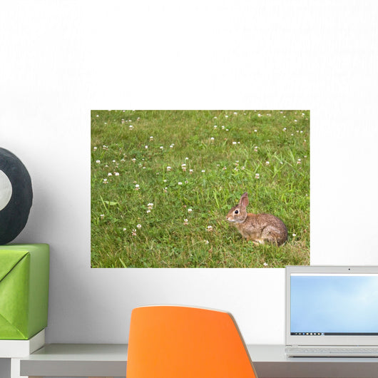 Wild Bunny Rabbit Wall Decal
